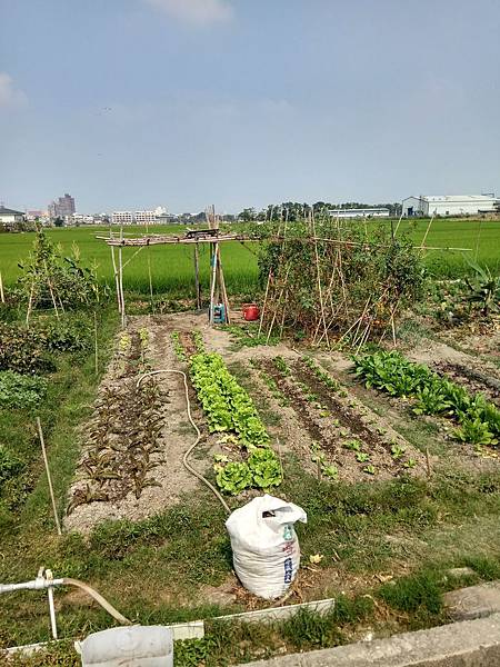 IMG_20170311_141146_HDR.jpg IMG_20170311_141146_HDR.jpg