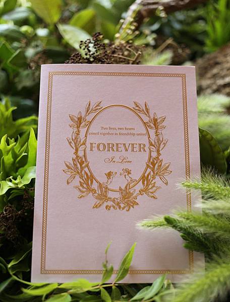 22-IMG_8373-570x750 22-IMG_8373-570x750