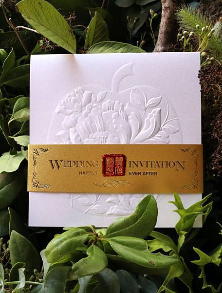 41-IMG_8754-570x750 41-IMG_8754-570x750