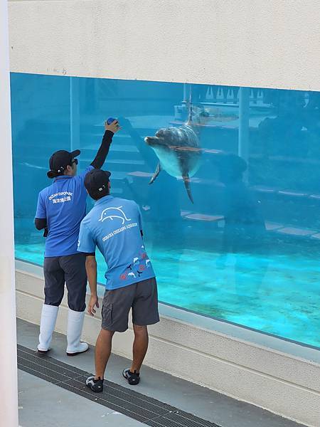 認識自己，不是就可以放棄和放縱自己