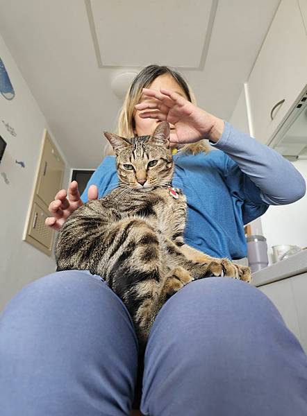 寵物會接受願意能量療癒嗎？