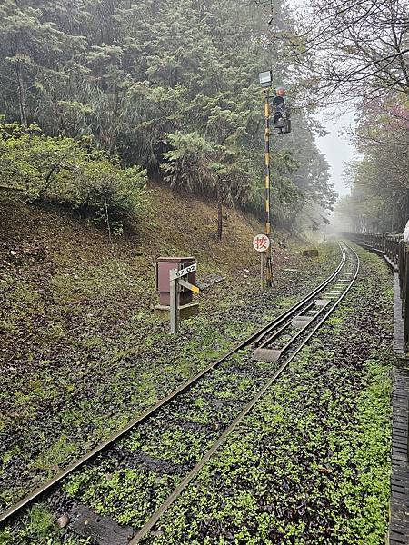 “有意識”地過生活和“靈性過敏”是不同的，請不要混為一談。