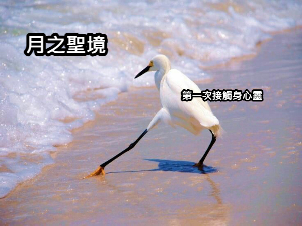 歡迎來到月之聖境