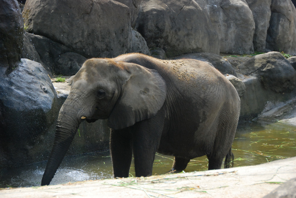 木柵動物園24.jpg