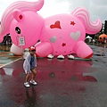 20140726_160021_3(001).jpg