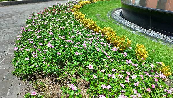 P_20180911_122411_vHDR_Auto_HP.jpg P_20180911_122411_vHDR_Auto_HP.jpg