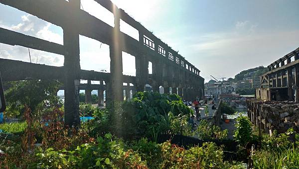 P_20180728_160924_vHDR_Auto_HP.jpg P_20180728_160924_vHDR_Auto_HP.jpg