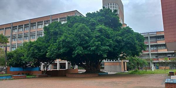 P_20190505_115613_vHDR_Auto_HP.jpg P_20190505_115613_vHDR_Auto_HP.jpg