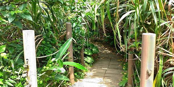 P_20190505_125032_vHDR_Auto_HP.jpg P_20190505_125032_vHDR_Auto_HP.jpg