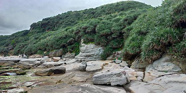 P_20190505_131500_vHDR_Auto_HP.jpg P_20190505_131500_vHDR_Auto_HP.jpg