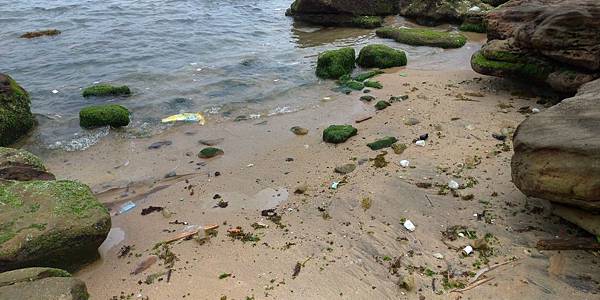 P_20190505_133531_vHDR_Auto.jpg P_20190505_133531_vHDR_Auto.jpg