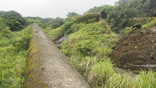 P1011119.JPG P1011119.JPG