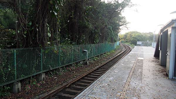 P1010731.JPG P1010731.JPG