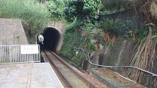 P1010732.JPG P1010732.JPG