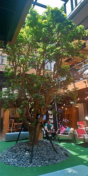 P_20190722_135023_vHDR_Auto_HP.jpg P_20190722_135023_vHDR_Auto_HP.jpg