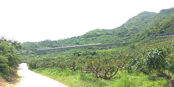 P_20190715_134909_vHDR_Auto.jpg P_20190715_134909_vHDR_Auto.jpg