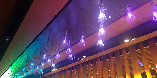 P_20191124_102000_vHDR_Auto.jpg P_20191124_102000_vHDR_Auto.jpg