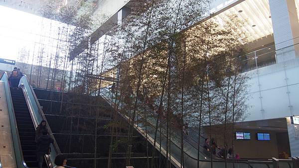 P2180290.JPG P2180290.JPG