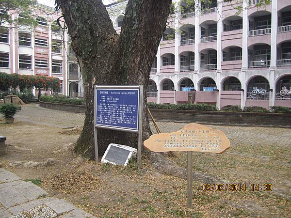 IMG_6116.JPG IMG_6116.JPG