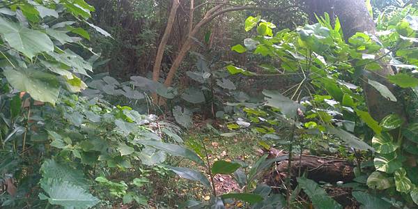 P_20200129_155514_vHDR_Auto.jpg P_20200129_155514_vHDR_Auto.jpg