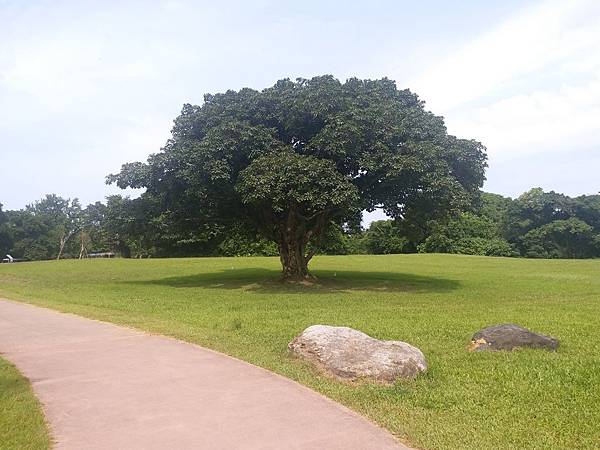 20200621_143604.jpg 20200621_143604.jpg