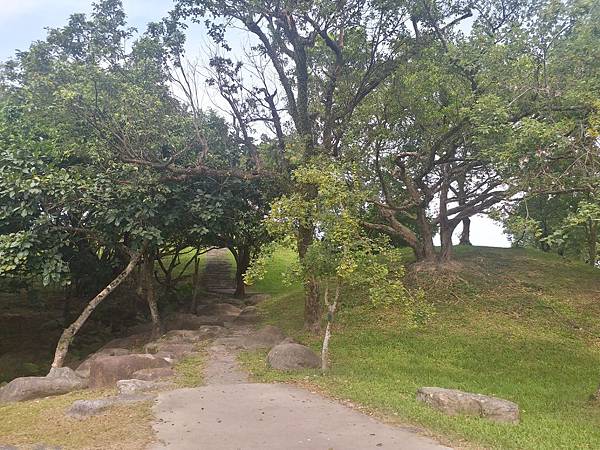 20200621_144313.jpg 20200621_144313.jpg