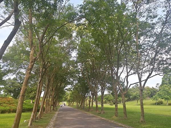 20200621_144456.jpg 20200621_144456.jpg