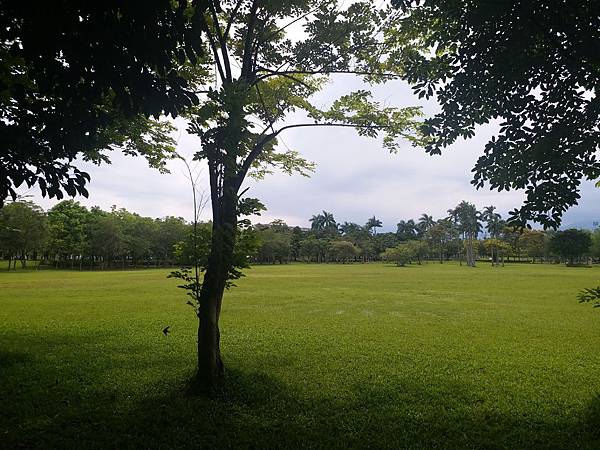 20200621_142703.jpg 20200621_142703.jpg