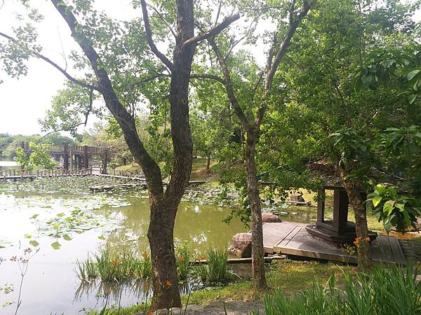 20200621_142910.jpg 20200621_142910.jpg