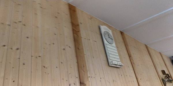 P_20200721_121649_vHDR_On_HP.jpg P_20200721_121649_vHDR_On_HP.jpg