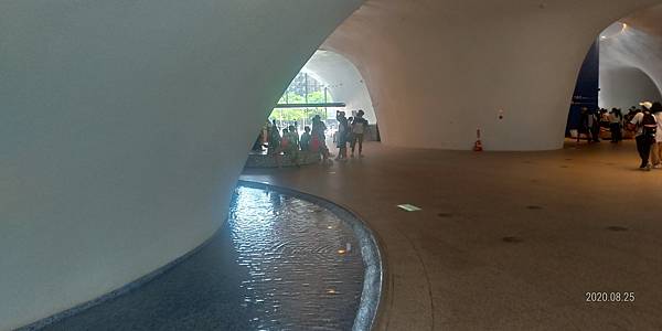 P_20200825_113609_vHDR_On_HP.jpg P_20200825_113609_vHDR_On_HP.jpg