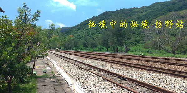 枋野封面.jpg 枋野封面.jpg