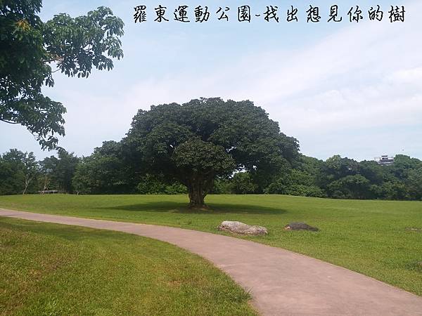 羅東運動公園封面.jpg 羅東運動公園封面.jpg