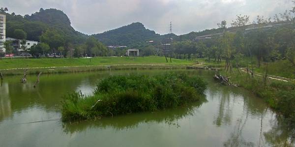 P_20200722_143626_vHDR_On_HP.jpg P_20200722_143626_vHDR_On_HP.jpg