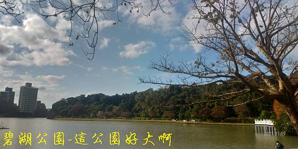 封面.jpg 封面.jpg