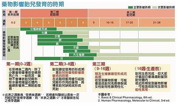 藥物影響胎兒發育的時期