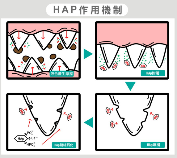 試用