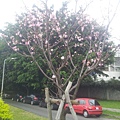 20130622 112.jpg