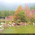 20131117_113107.jpg