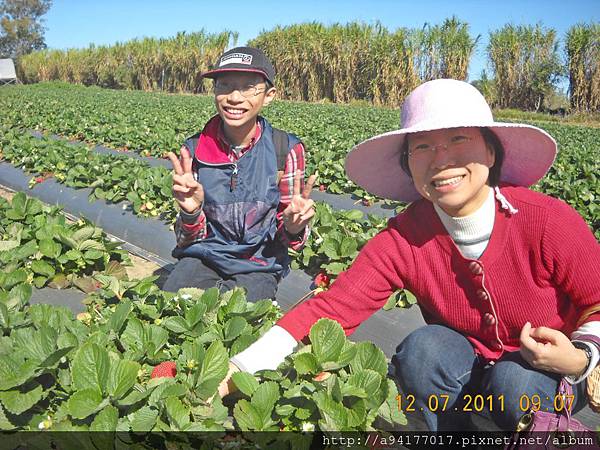 DSCN6606.JPG DSCN6606.JPG