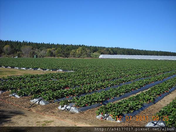 DSCN6616.JPG DSCN6616.JPG