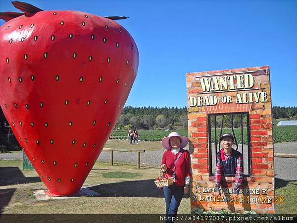 DSCN6620.JPG DSCN6620.JPG