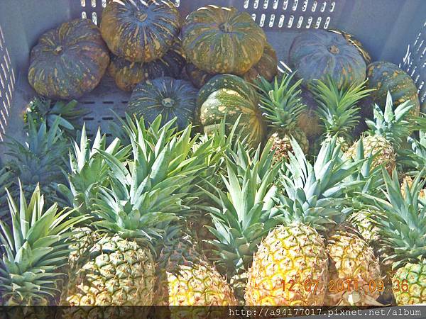 DSCN6629.JPG DSCN6629.JPG