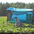 DSCN6635.JPG