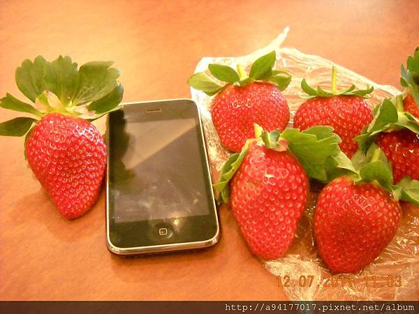 DSCN6638.JPG DSCN6638.JPG