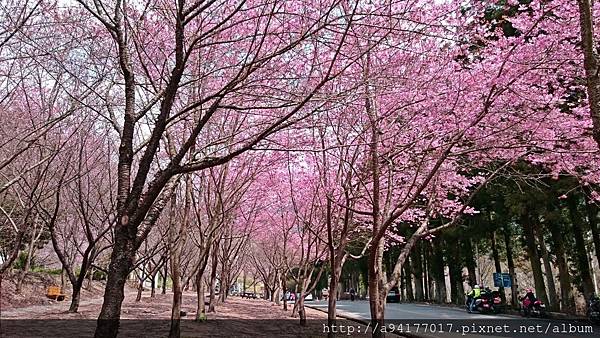 DSC_3979.JPG DSC_3979.JPG