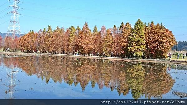 1514813735341.jpg 1514813735341.jpg