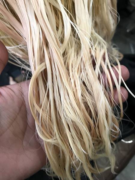 S__12386317.jpg S__12386317.jpg