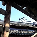 _MG_7098 - 複製.jpg