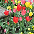 IMG_9583.JPG